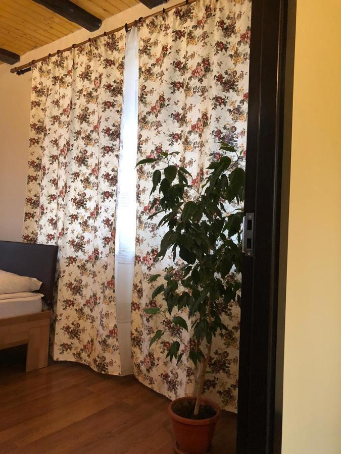 Casa Albert Valea Avrigului المظهر الخارجي الصورة