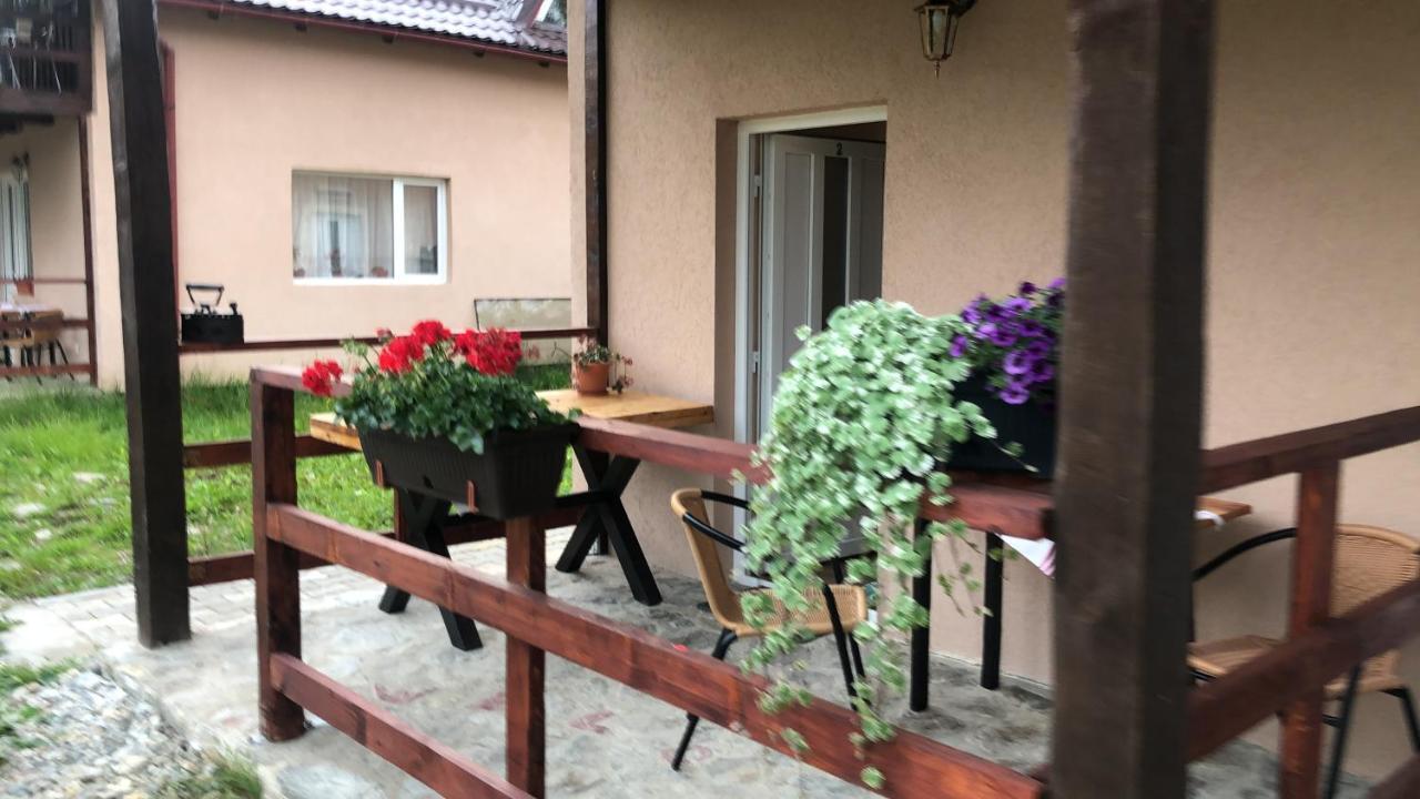 Casa Albert Valea Avrigului المظهر الخارجي الصورة