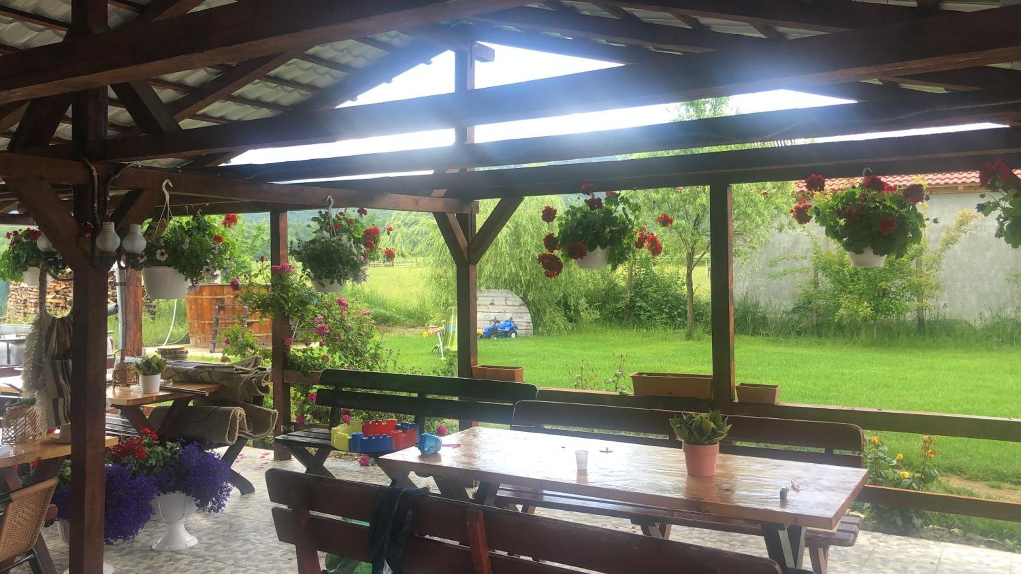Casa Albert Valea Avrigului المظهر الخارجي الصورة